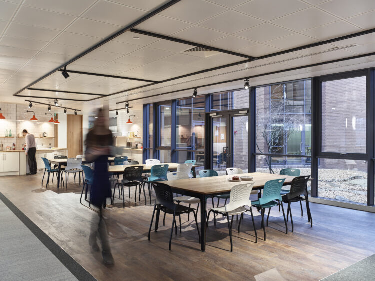 CAS_63429_Hoare_20170411071854595_P