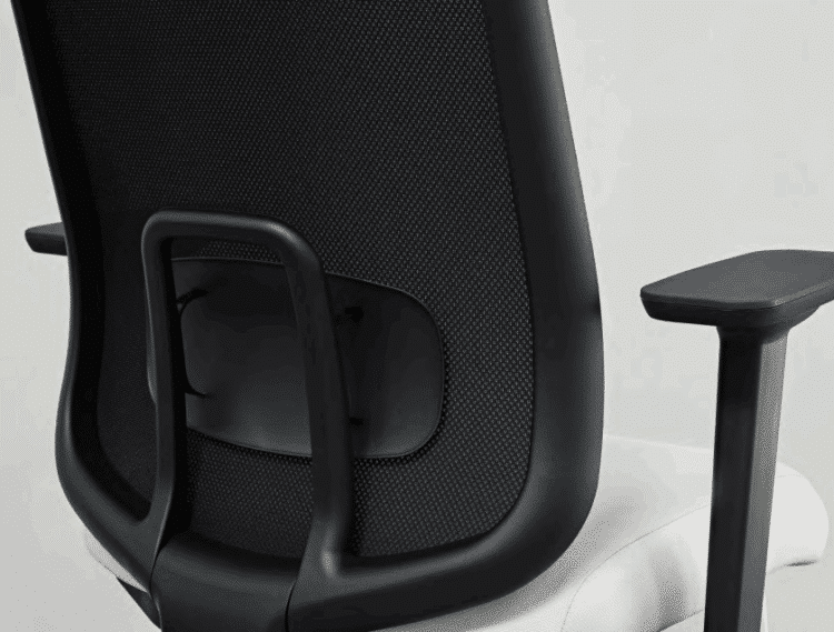 Back view of the Sia lumbar support