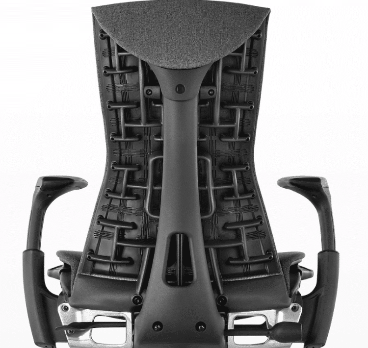 Herman Miller Embody chair rear view
