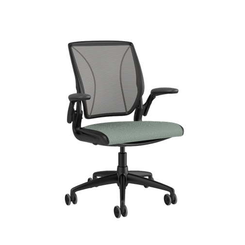 Humanscale diffrient world chair blue seat