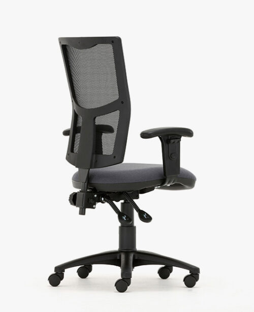 Torasen M100 rear view