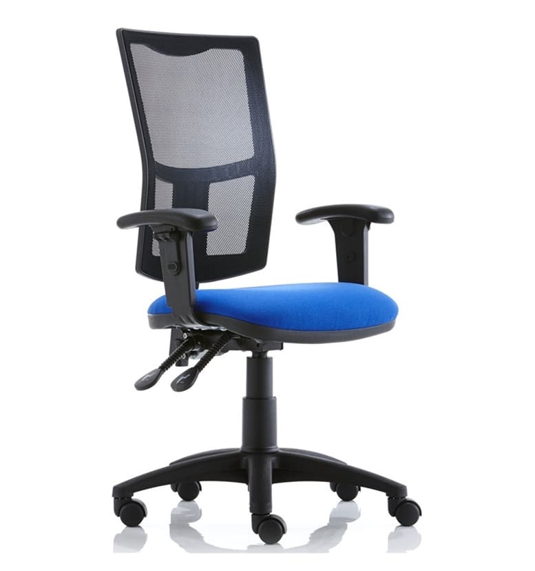 Torasen Mercury Mesh Office Chair with Height Adjustable Arms
