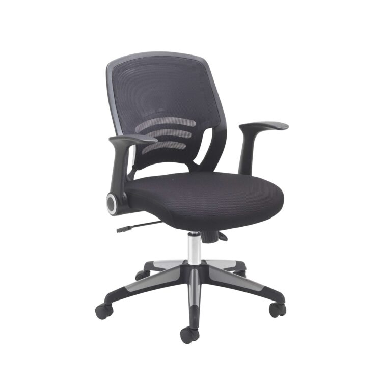 Carbon Mesh Back Office Chair